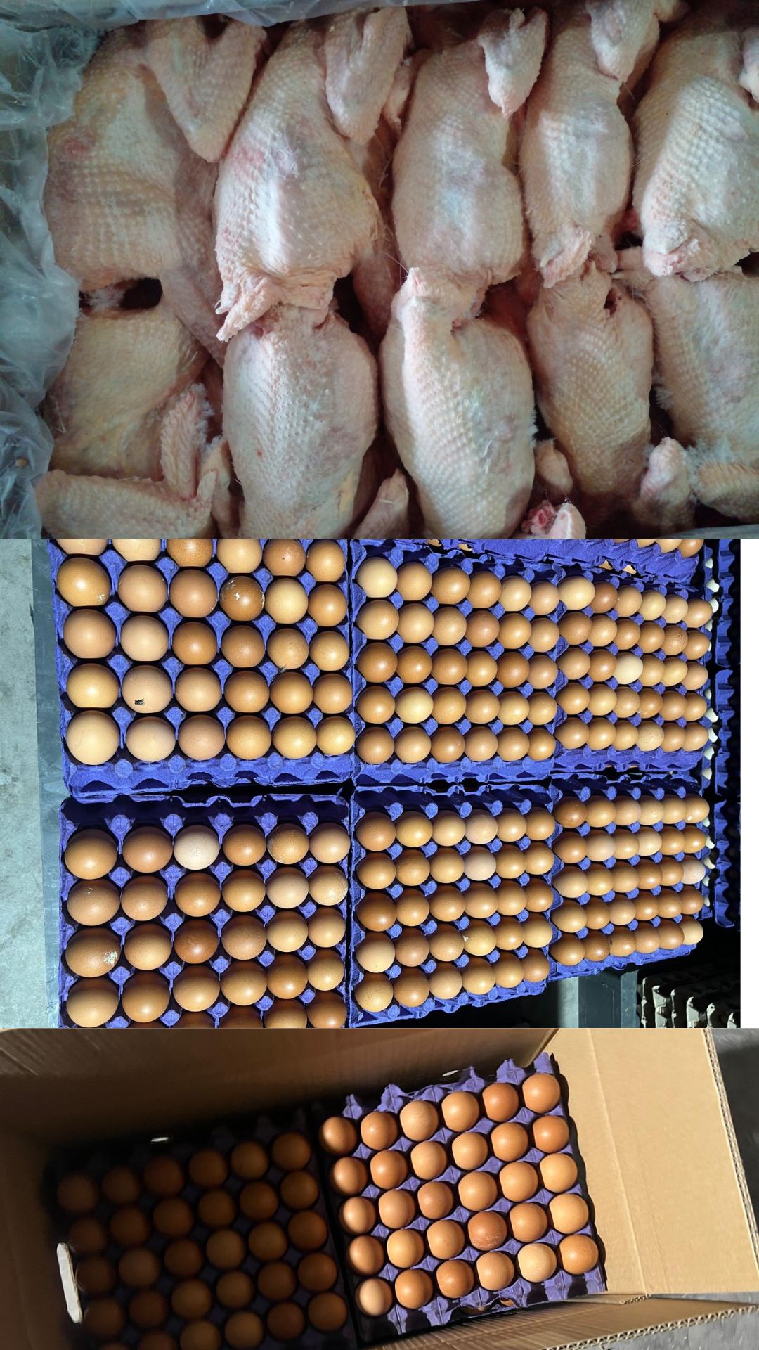 Chicken & Eggs