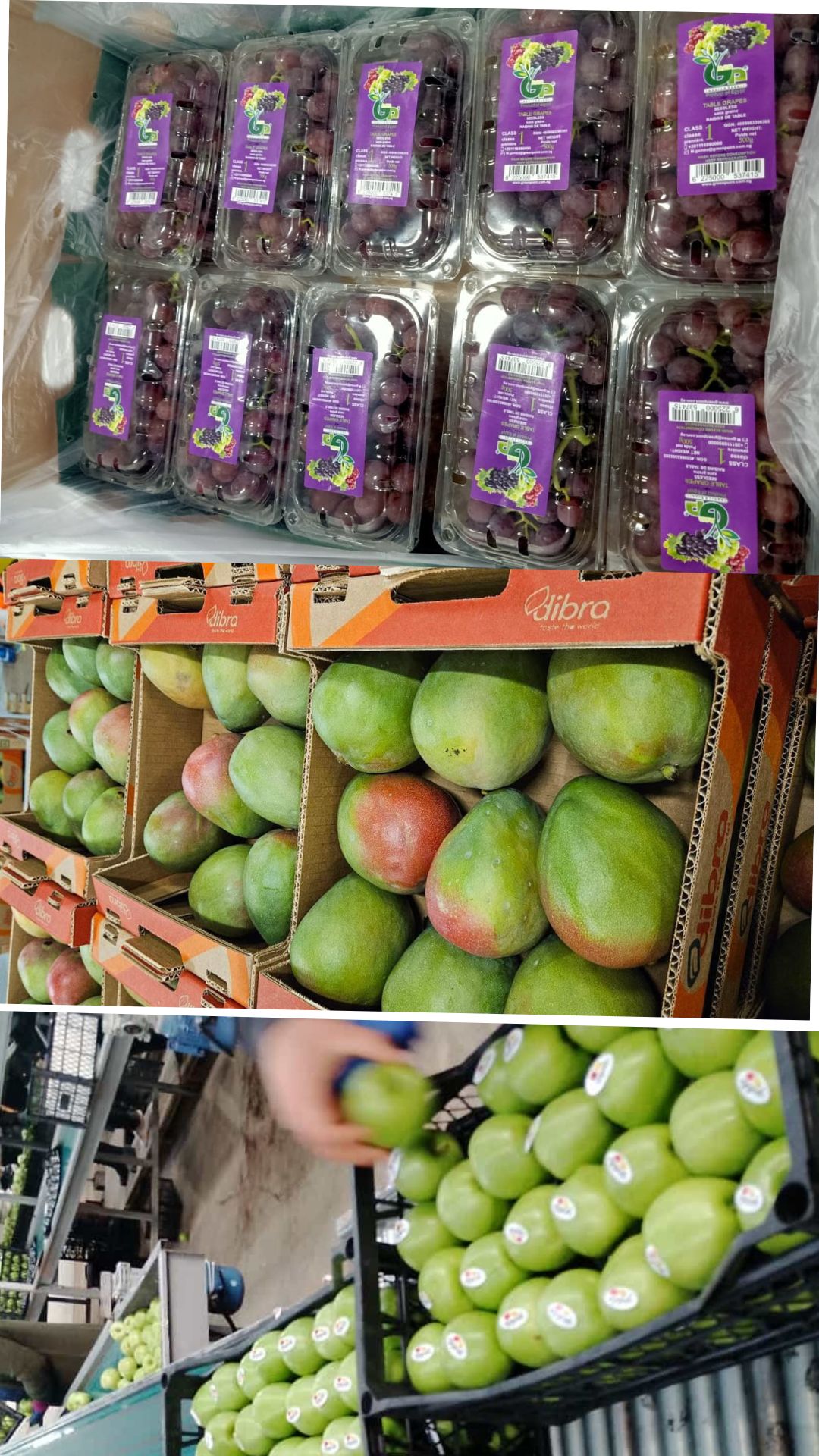 Fruits