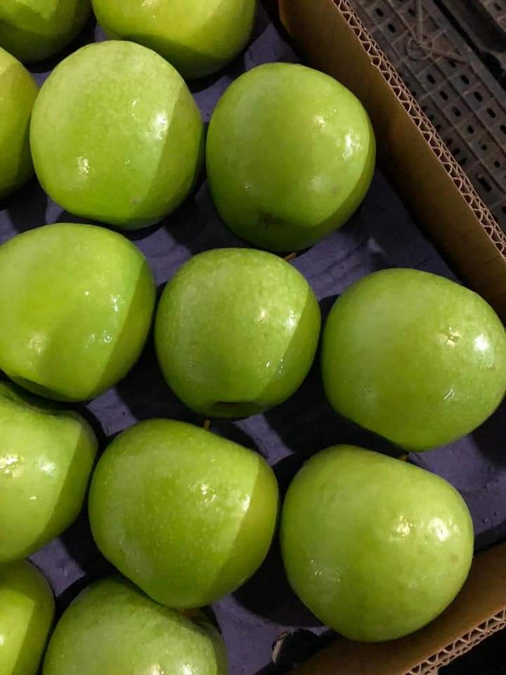 Apples