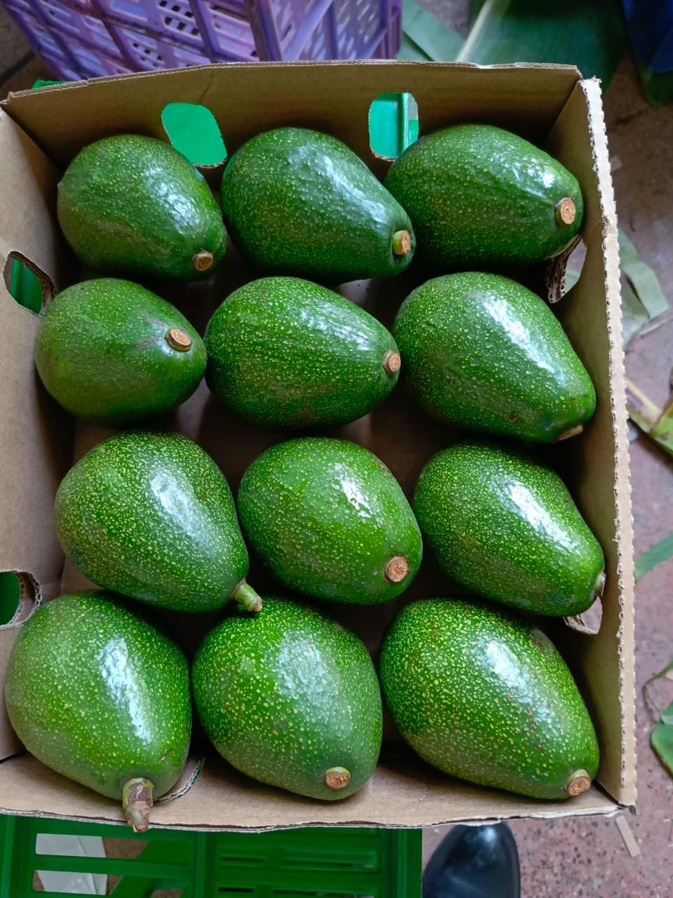 Mango