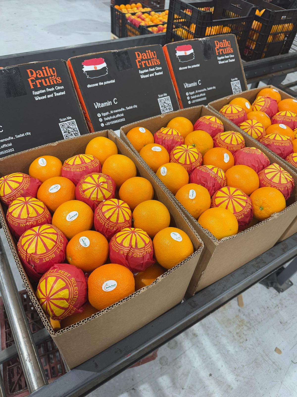 Oranges
