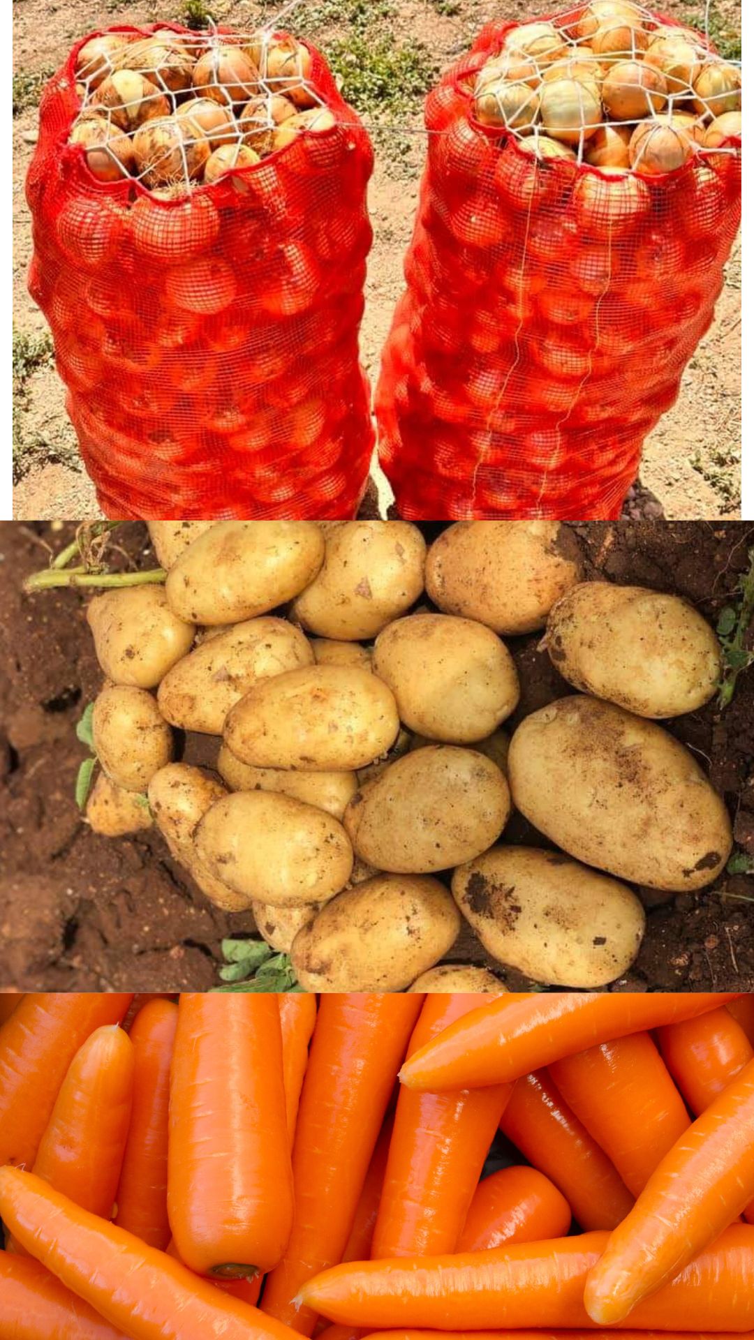 Vegetables